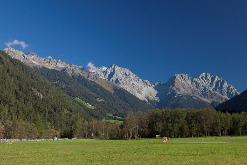 Gasthof Lechner Разун-ди-Сопра Экстерьер фото